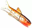 Orka Small Fish 3cm 6kpl - Jigit - 86050395208680000 - 19