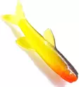 Orka Small Fish 3cm 6kpl - Jigit - 86050395208680000 - 13