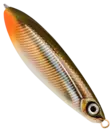 Rapala Rattlin Minnow Spoon 8cm 16g - Lusikkauistimet - 022677233550 - 26