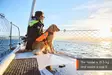 Non-stop Dogwear Protector Life Jacket Orange - Koiraliivit ja -vaatteet - 7071652173421 - 9