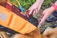Non-stop Dogwear Protector Life Jacket Orange - Koiraliivit ja -vaatteet - 7071652173421 - 8
