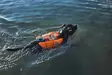 Non-stop Dogwear Protector Life Jacket Orange - Koiraliivit ja -vaatteet - 7071652173421 - 4