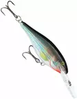 Rapala Shad Rap Deep Runner 4cm 4g - Vaaput - 340040175011 - 4