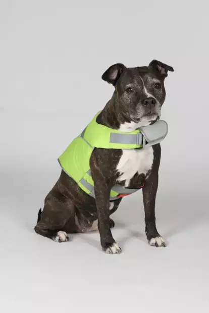 Hundra Koiran Pelastusliivi - Koiraliivit ja -vaatteet - 6438347048432 - 2