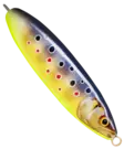 Rapala Minnow Spoon 7cm 15g - Lusikkauistimet - 340050002 - 25