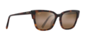 Maui Jim Kou - Tortoise Frame with HCL Bronze Lens - Aurinkolasit - 603429070953 - 1