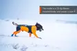 Non-stop Dogwear Protector Snow Male - Koiraliivit ja -vaatteet - 7071652025003 - 9
