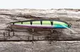 Karikko 18cm - Vaaput - 26022024 - 9