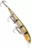 Karikko 18cm - Vaaput - 26022024 - 8