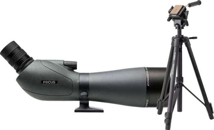 Kit Focus Viewmaster 20-60x80 with Velbon VM638 - Kiikarit - 7391879053314 - 1