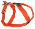 Non-stop Dogwear Line Harness 5.0 Orange - Koirien valjaat - 7071652021845 - 1