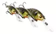 Westin BuzzBite Crankbait 4cm 4g - Vaaput - 145155 - 1