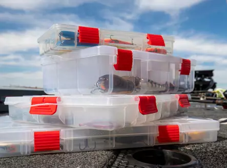 Plano Rustrictor 3600 - Kalapakit - 024099010207 - 2