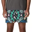 Patagonia M's Baggies Shorts Kaleido Black - Housut - 198077735717 - 3
